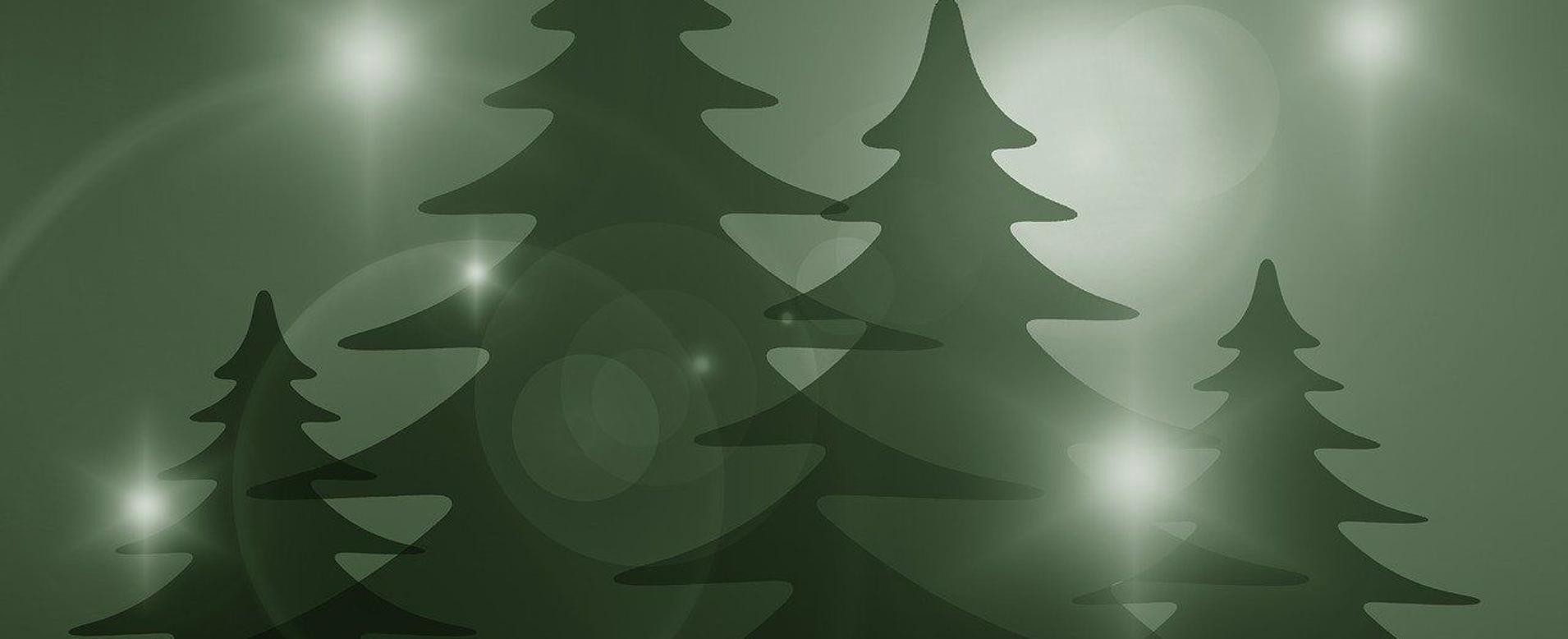 Tannenbäume Vier unterschiedlich hohe grüne Tannenbäume auf gründem Grund.