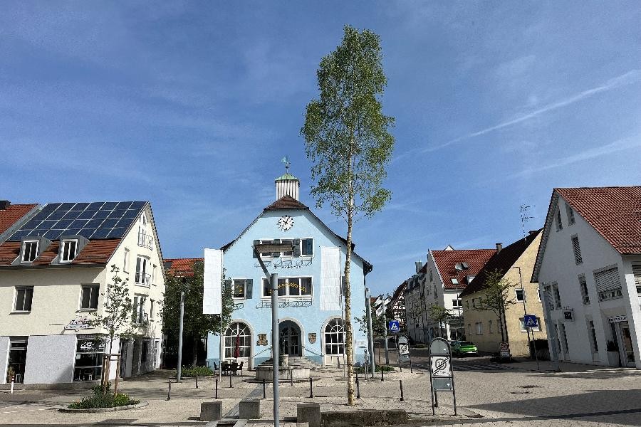 Blick auf den Maibaum auf dem Marktplatz vor dem Alten Rathaus.
