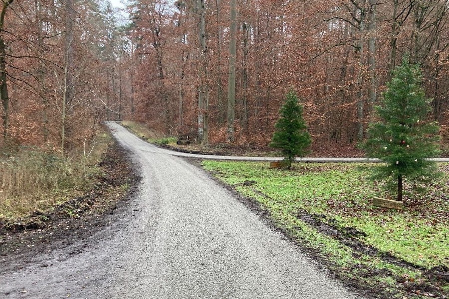 Zu sehen ist ein Feldweg im Stadtwald Rutesheim.