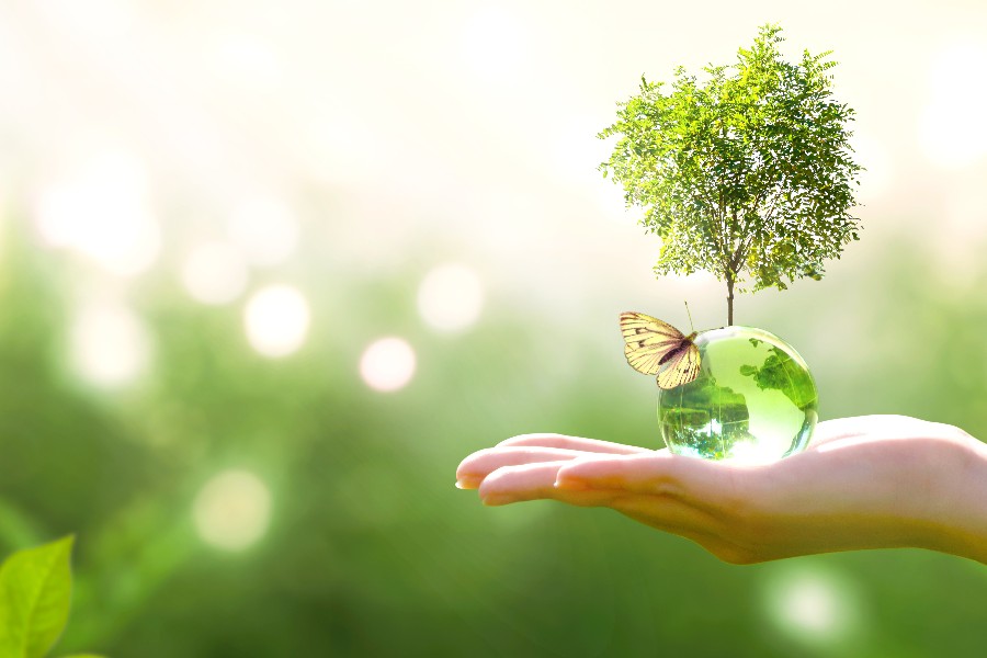 Zu sehen ist eine Hand, die eine grüne Weltkugel aus Glas hält, auf der ein Schmetterling sitzt und ein Baum steht.                