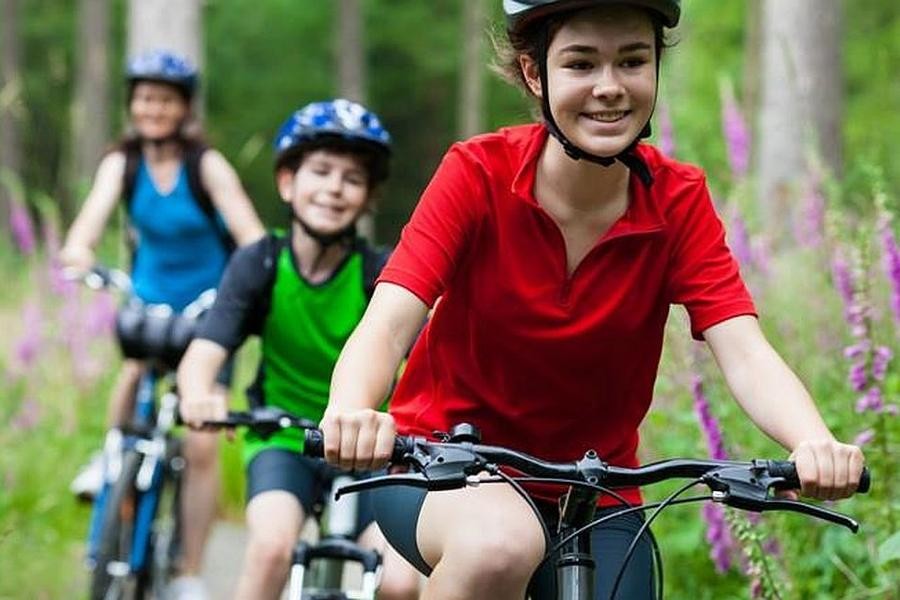 Kinder mit Fahrradhelmen fahren auf ihren Fahrrädern auf einem Waldweg.