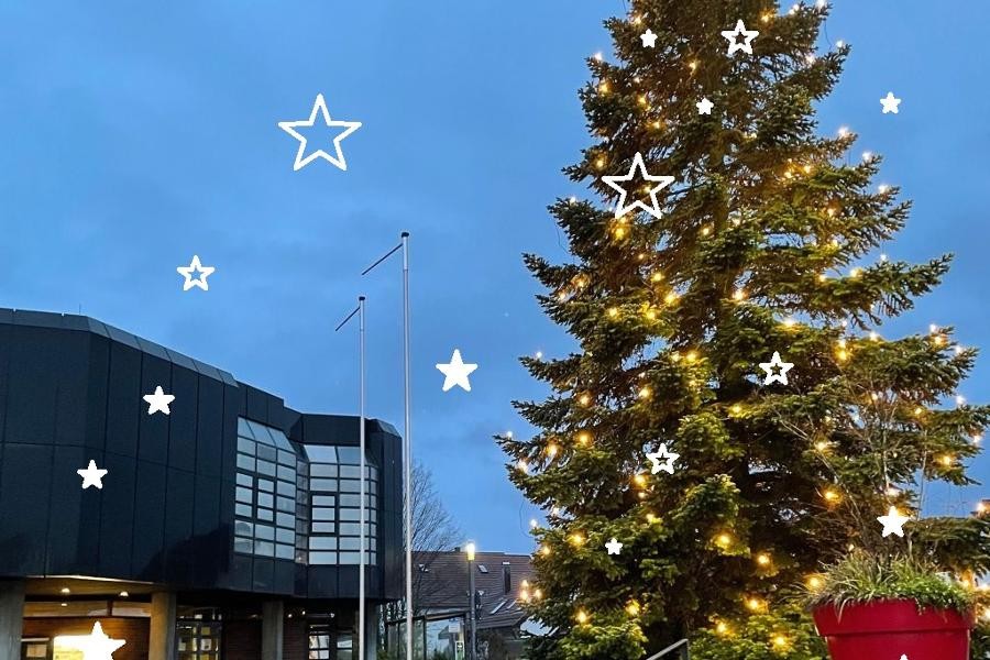 Blick auf das Neue Rathaus mit beleuchtetem Weihnachtsbaum.