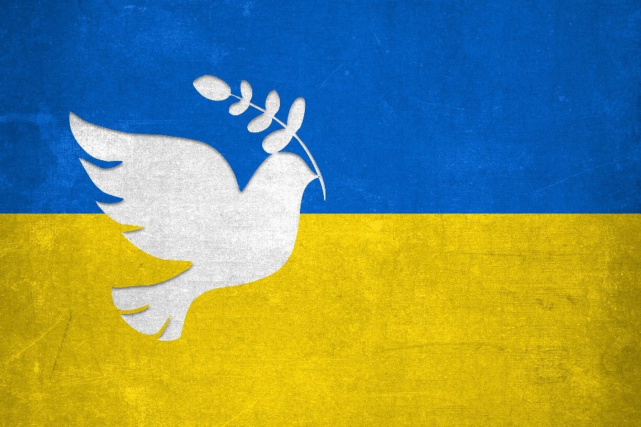 Symbol ukrainische blau-gelbe Flagge mit weißer Friedenstaube in der Mitte.