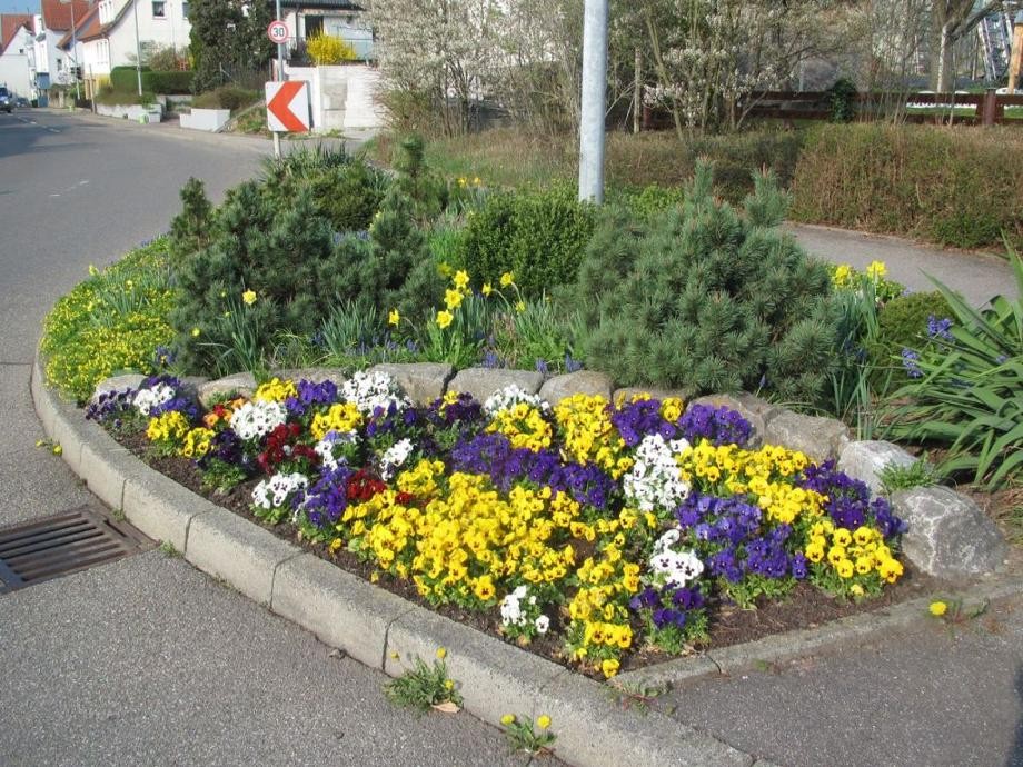 Pflanzbeet Gebersheimer Straße Ein bunt bepflantes Blumenbeet in der Gebersheimer Straße.