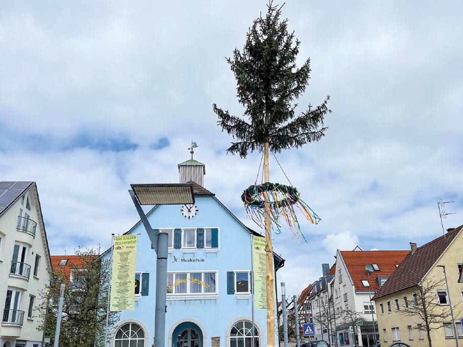 Maibaum vor dem Alten Rathaus Rutesheim Hier ist ein aufgestellter Maibaum vor dem Alten Rathaus Rutesheim zu sehen.