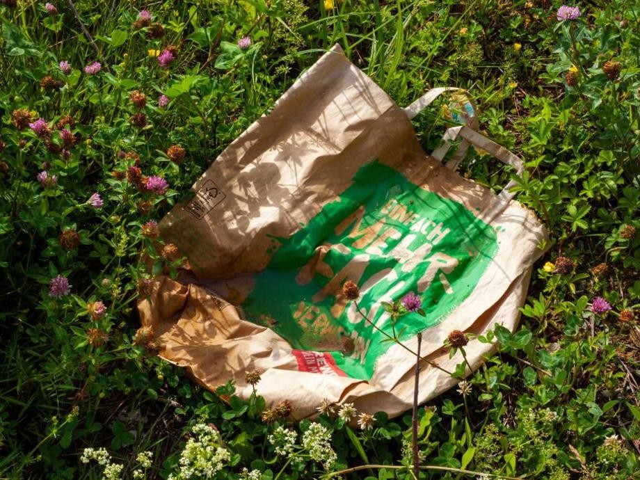Wilder Müll_pixabay Eine braun-grüne zerknüllte Papiertüte liegt in einer Wiese mit Klee.