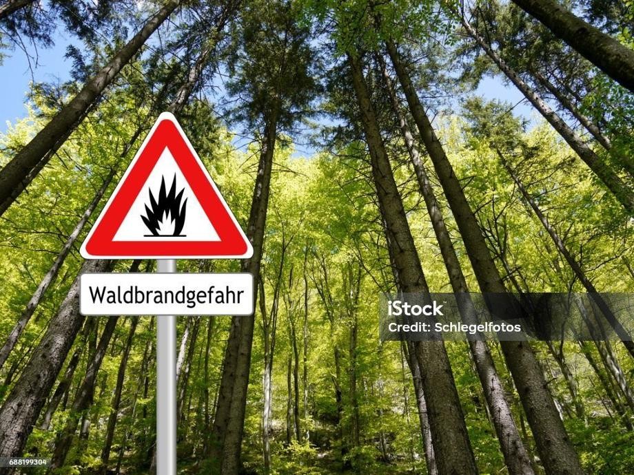 Schlegelfotos / www.istockphoto-688199304-1024x1024 Hier ist ein "Achtung Waldbrand-Schild" in mitten eines Waldes zu sehen.