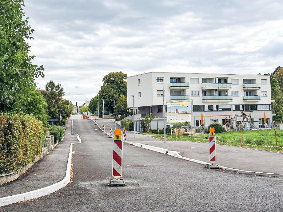 Robert-Bosch-Straße Blick auf die Robert-Bosch-Straße mit mehreren Warnbaken.