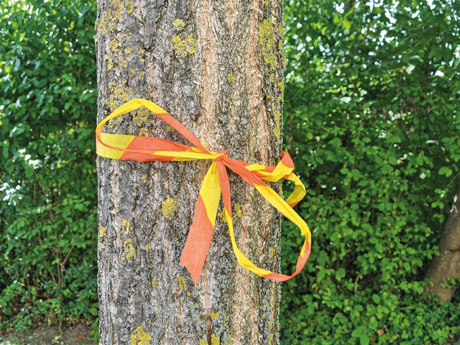 Aktion Erntebändchen Ein Baumstamm umwickelt mit einem gelb-orangenen Band.