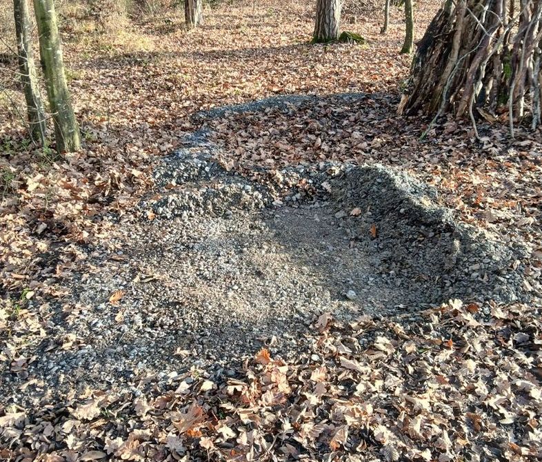 Kleineres Baggerloch im Wald.