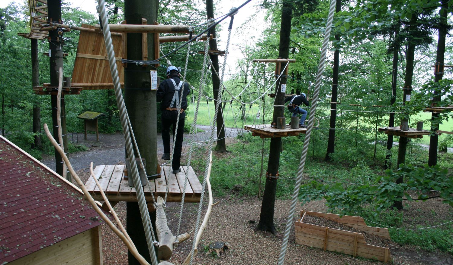 Ansicht von einzelnen Kletterseilen zwischen Bäumen im Wald