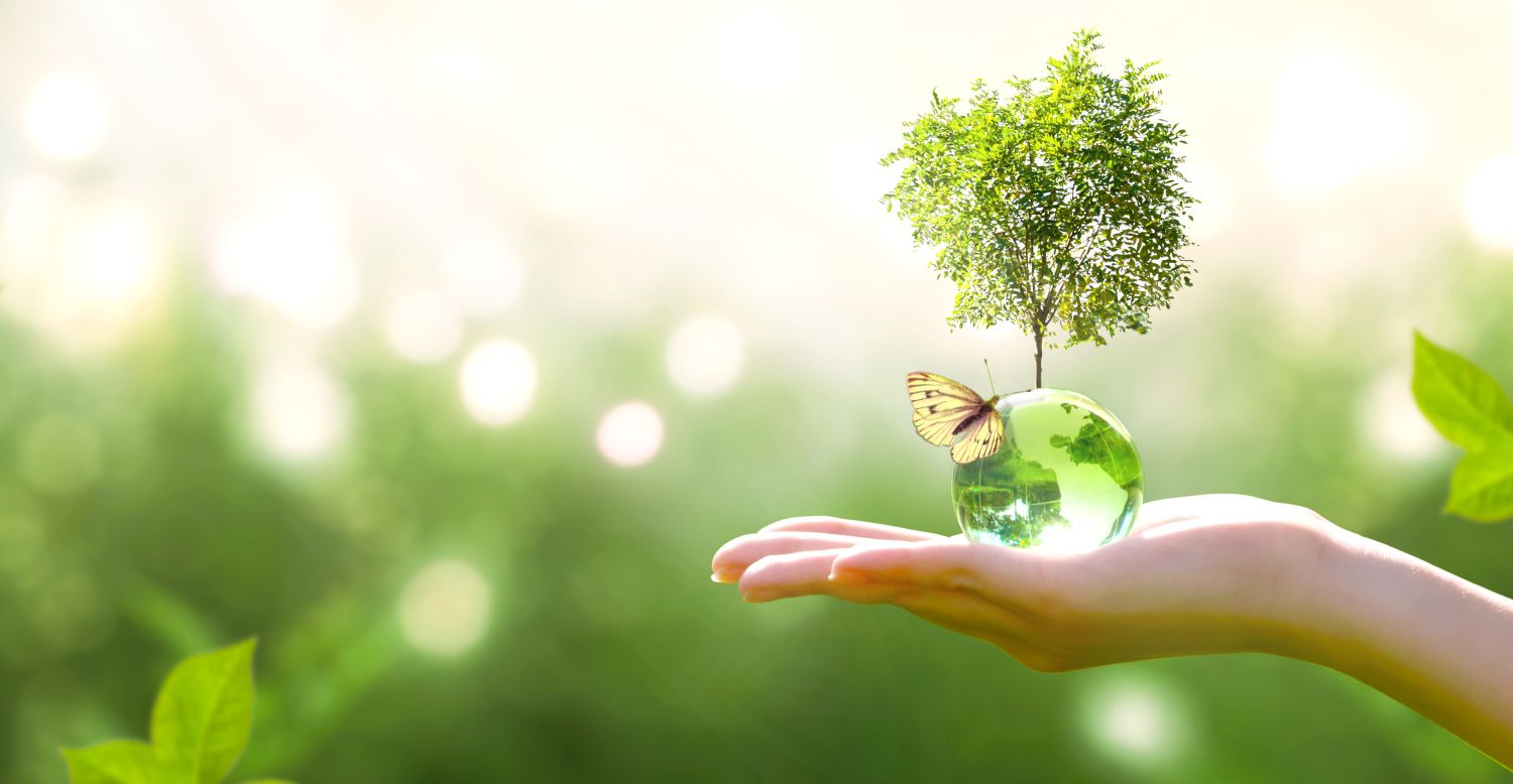 Zu sehen ist eine Hand, die eine grüne Weltkugel aus Glas hält, auf der ein Schmetterling sitzt und ein Baum steht.                