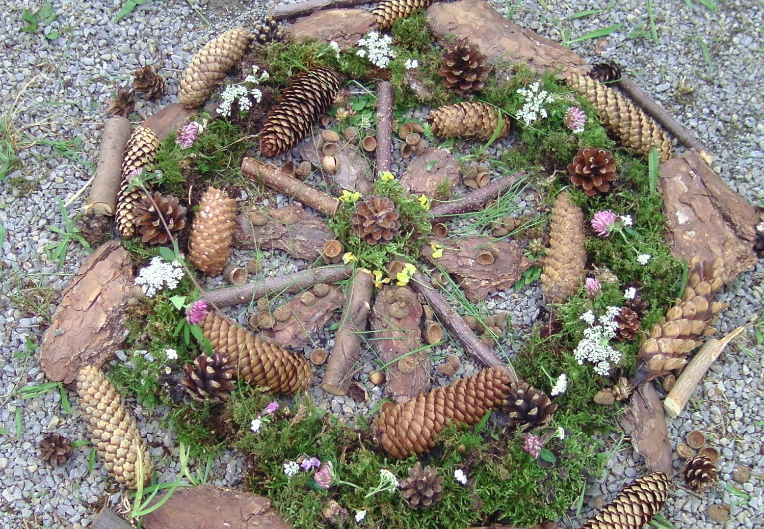 Mandala aus Materialen von Wald und Wiese wie zum Beispiel Tannenzapfen, Blumen, Moos.