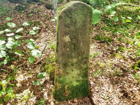 Grenzstein Gewann Kohllücken Ein bemooster halbrunder Grenzstein im Wald Gewann Kohllücken.