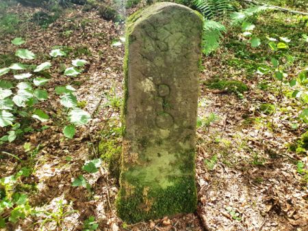 Ein bemooster halbrunder Grenzstein im Wald Gewann Kohllücken.