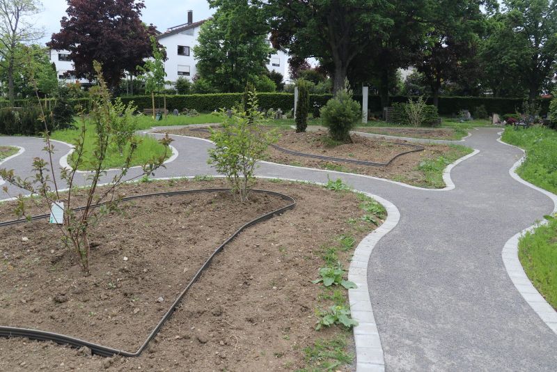 Blick auf das neu angelegte städtische Urnengrabfeld auf dem Friedhof Rutesheim mit Sträuchern und geschwungen angelegten Wegen.